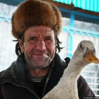 Качка