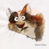 Кот