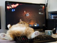 Котэ