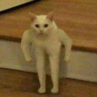 Нет