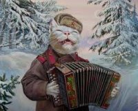 Совковый кот