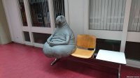 Ждун