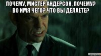 почему, мистер андерсон, почему? во имя чего? что вы делаете? 