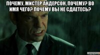 почему, мистер андерсон, почему? во имя чего? почему вы не сдаетесь? 