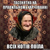 тасенятко на правильному харчуванні всіх котів поїла