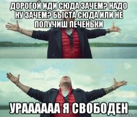 дорогой иди сюда зачем? надо ну зачем? быста сюда или не получиш печеньки ураааааа я свободен