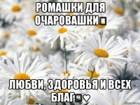 ромашки для очаровашки！ любви, здоровья и всех благ！♥