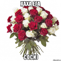 хаха ега соси)