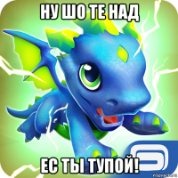 ну шо те над ес ты тупой!