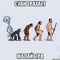 суан трахает жалайыра