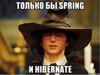 только бы spring и hibernate
