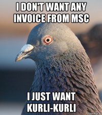 i don't want any invoice from msc i just want kurli-kurli