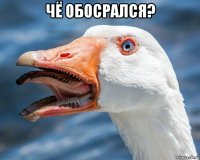 чё обосрался? 