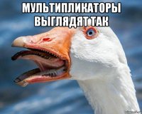 мультипликаторы выглядят так 