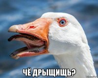  чё дрыщищь?