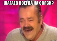 шагаев всегда на связи? 