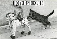 котись к хуям 