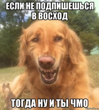 если не подпишешься в восход тогда ну и ты чмо