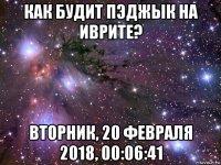 как будит пэджык на иврите? вторник, 20 февраля 2018, 00:06:41