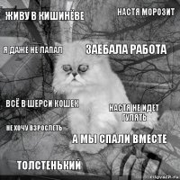 живу в кишинёве настя не идёт гулять заебала работа толстенький всё в шерси кошек настя морозит а мы спали вместе я даже не лапал не хочу взрослеть 