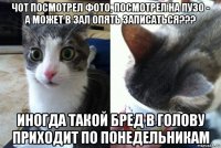 чот посмотрел фото, посмотрел на пузо - а может в зал опять записаться??? иногда такой бред в голову приходит по понедельникам