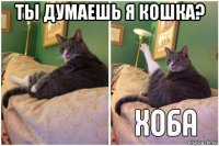 ты думаешь я кошка? 