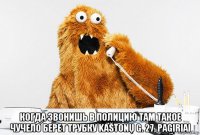  когда звонишь в полицию там такое чучело берет трубку kaštonų g. 27, pagiriai