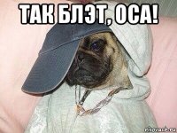 так блэт, оса! 
