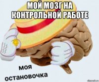 мой мозг на контрольной работе 