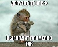 депутат от кпрф выглядит примерно так