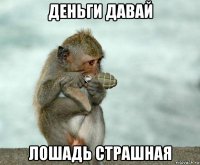 деньги давай лошадь страшная