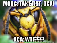 мопс: так блэт, оса! оса: wtf???