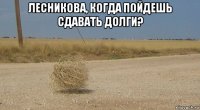 лесникова, когда пойдешь сдавать долги? 