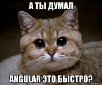 а ты думал angular это быстро?