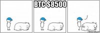 btc $8500 