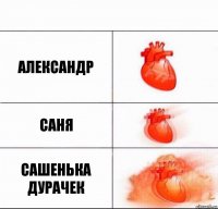 Александр Саня Сашенька дурачек