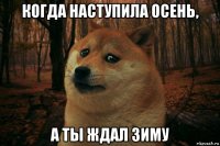 когда наступила осень, а ты ждал зиму