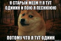 я старый меем !! я тут одииин и пою я песнююю потому что я тут одиин