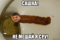 сашка! не мешай я сру!