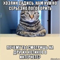 хозяин садись, нам нужно серьёзно поговорить почему ты смотришь на других котиков в интернете?