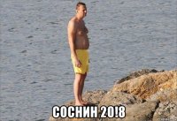  соснин 20!8