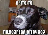 я что-то подозреваю!точно?