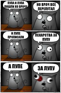 Пупа и лупа пошли ко врачу Но врач все перепутал И Лупе прописали лекарства за пупу а пупе За лупу