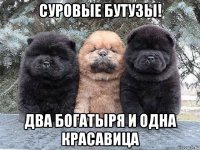 суровые бутузы! два богатыря и одна красавица