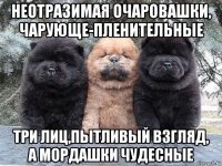 неотразимая очаровашки, чарующе-пленительные три лиц,пытливый взгляд, а мордашки чудесные