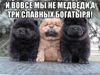 и вовсе мы не медведи,а три славных богатыря! 