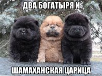 два богатыря и шамаханская царица