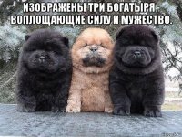 изображены три богатыря - воплощающие силу и мужество. 