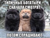 типичные богатыри — сначала смотрят, потом спрашивают.