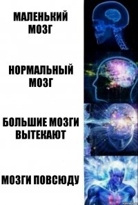 маленький мозг нормальный мозг большие мозги вытекают мозги повсюду